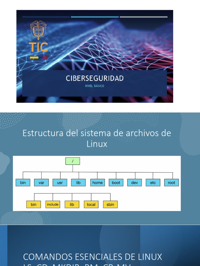 Estructura y Comandos Esenciales de Linux | PDF | Archivo de ...