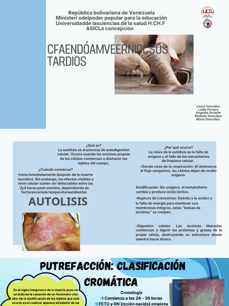 Autolisis Laury 20260119 142153 0000 PPTX 20260119 171402 0000 Pdf ...
