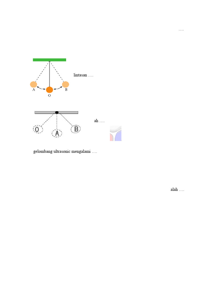 Latihan JSO Sains Level 2 | PDF