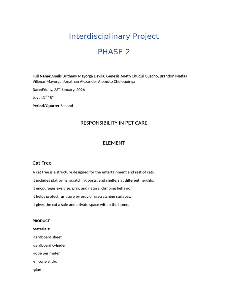 Interdisciplinary Project | PDF