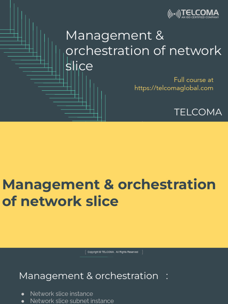 Management and Orchestration of Network Slice | PDF | Mimo | Computing