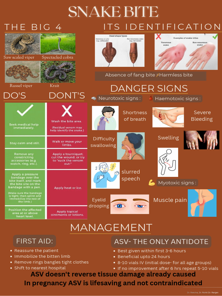 Snake Bite - 20260106 - 150436 - 0000 | PDF