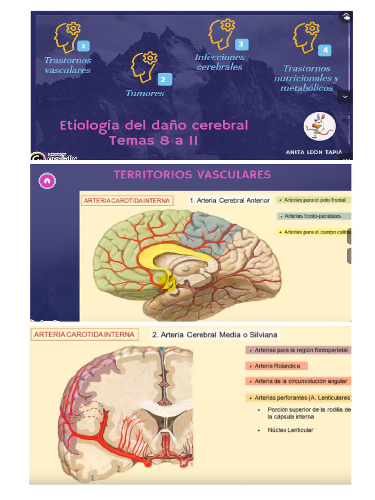 ACV | PDF