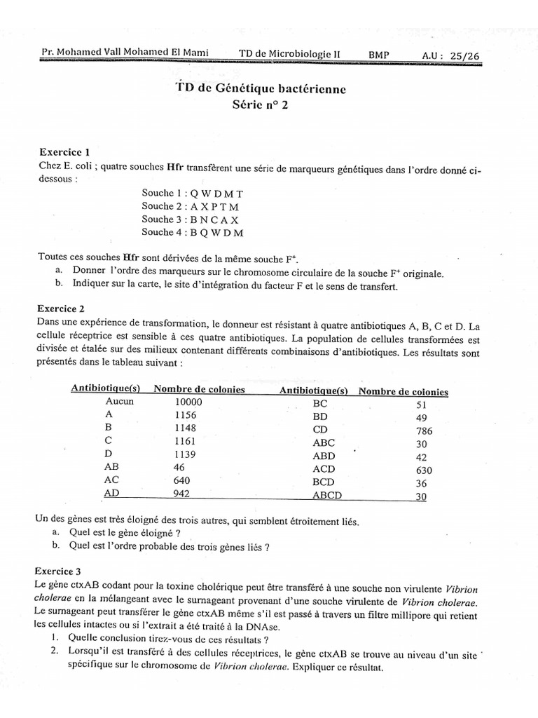 Correction TD2 Microbiologie LL | PDF