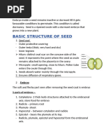 Stages of Bean Seed Germination | PDF | Seedling | Seed