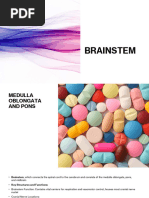 Anatomy and Function of the Pons | PDF | Brainstem | Human Anatomy