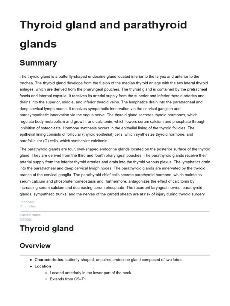 Thyroid Gland and Parathyroid Glands. Amboss | PDF | Thyroid ...