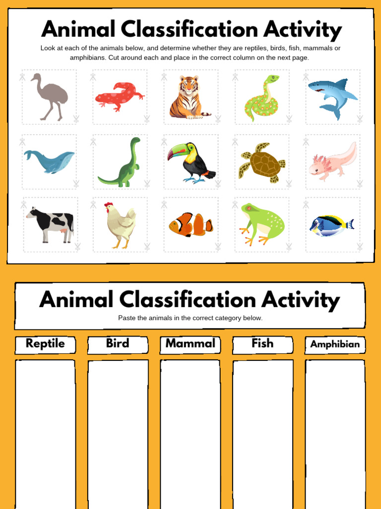 Animal Classification Science Sorting Worksheet - 20260104 - 211522 ...
