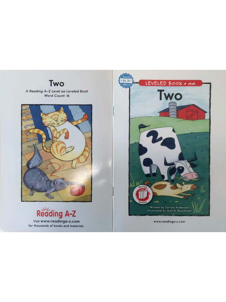 Two AA Level | PDF