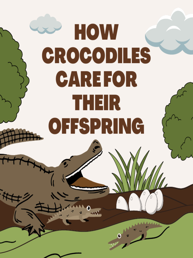How Crocodiles Care For Their Offspring Storybook | PDF