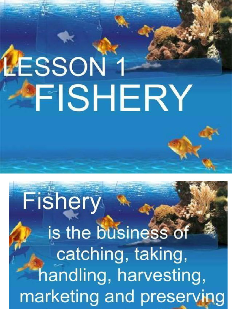 Topic 1B Branches Fishery 2 | PDF
