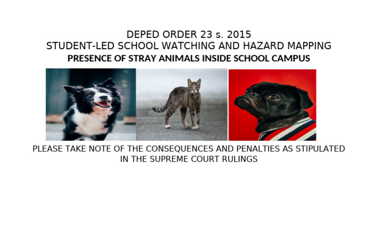 Deped Order 23 S Stray Dogs | PDF