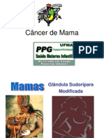 Câncer de Mama