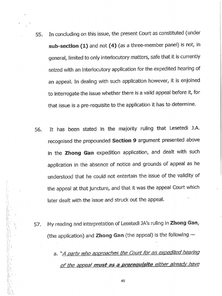Court Papers 5 | PDF