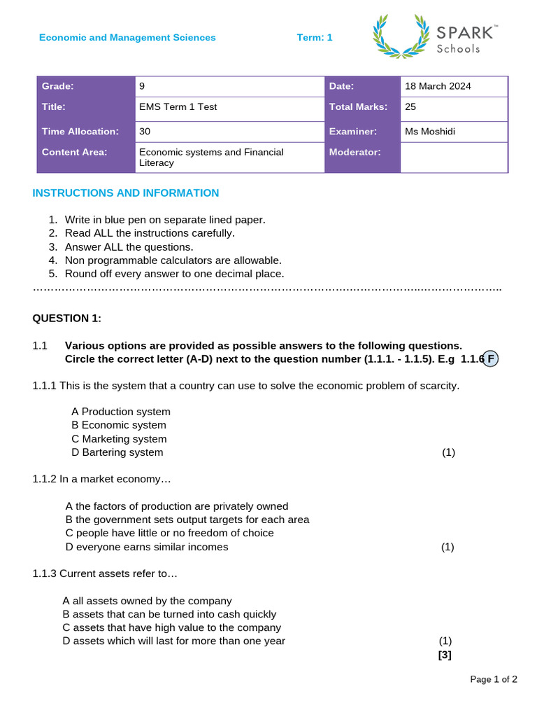 Grade 9 - Term 1 - EMS Intervention Paper | PDF | Economic System ...