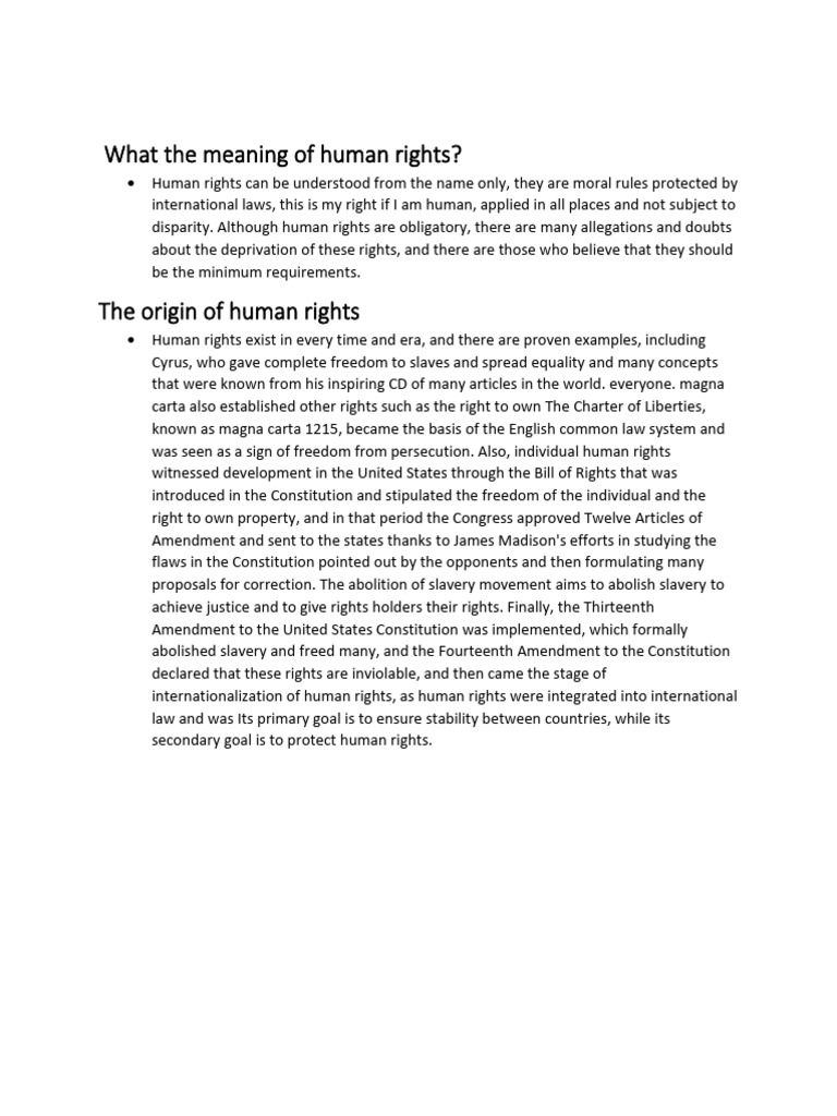 What the Meaning of Human Rights | PDF