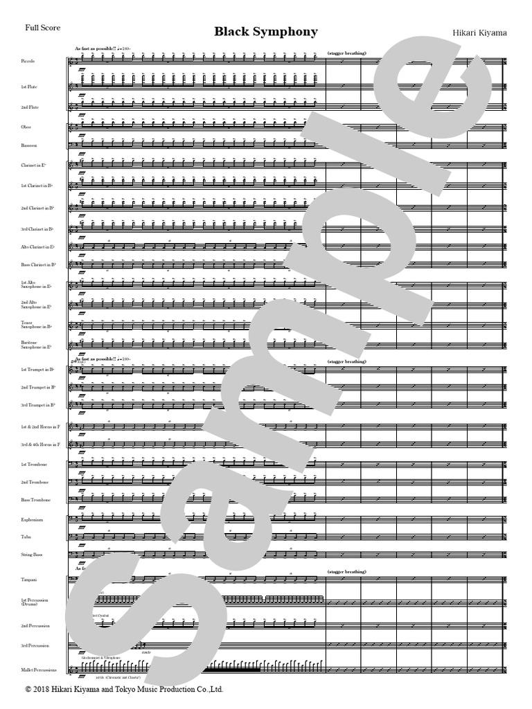 Sample 18006 Black Symphony | PDF