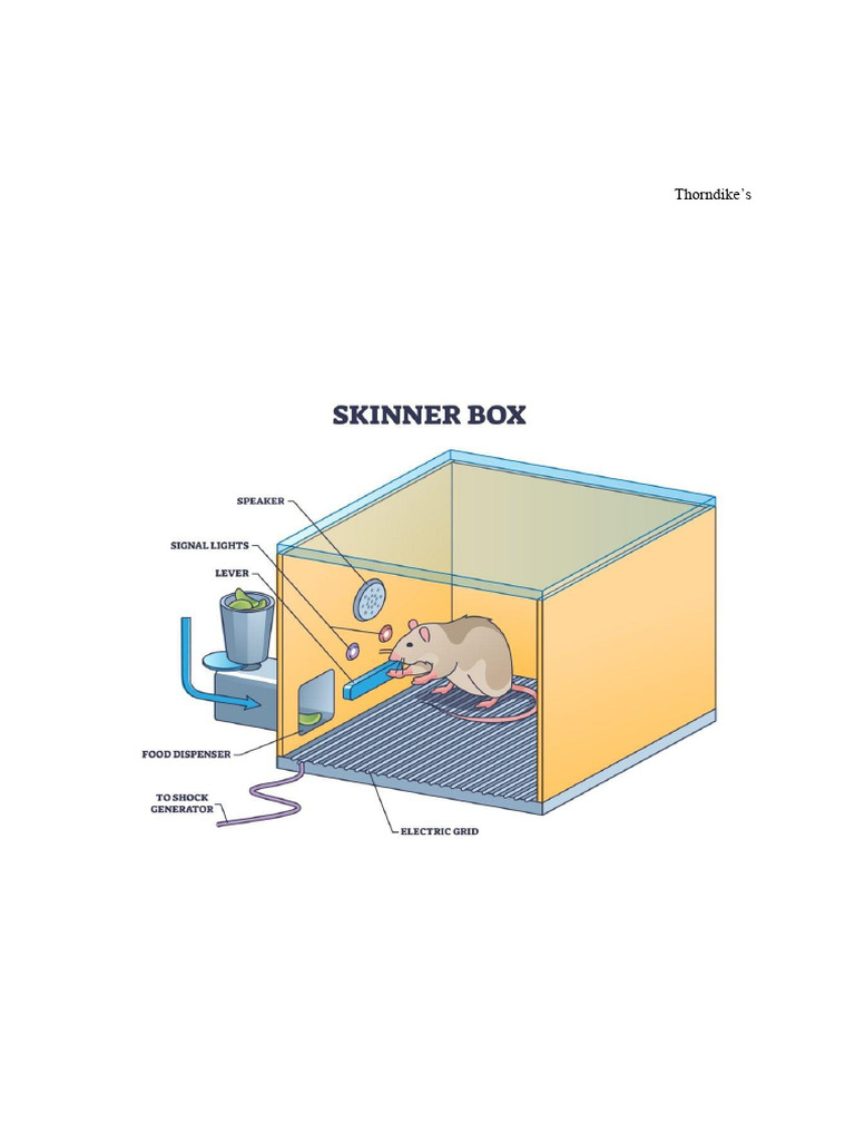 Operant Conditioning | PDF | Reinforcement | Behavior Modification