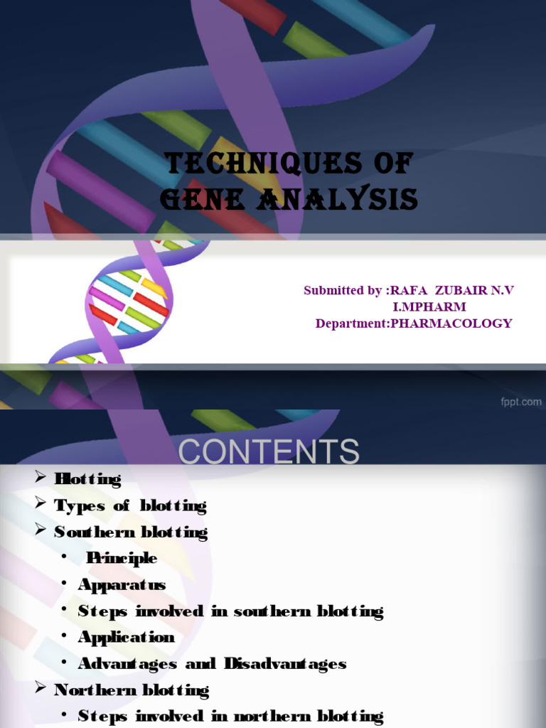 Southern Blotting | PDF | Southern Blot | Blot (Biology)