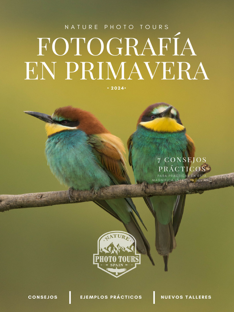 Trucos Primavera | PDF | Color