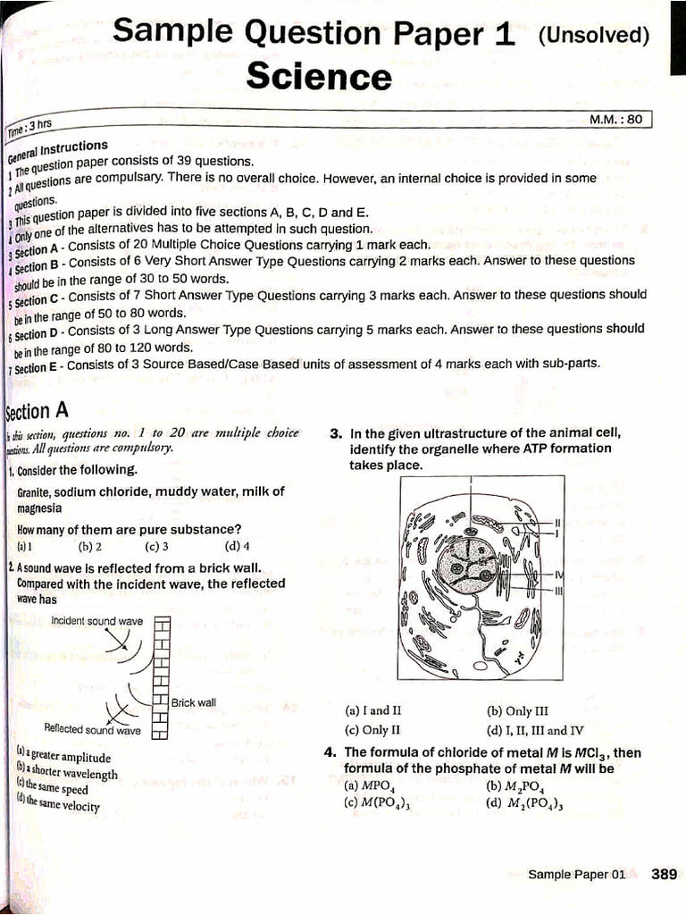 Img 20260129 143859 | PDF