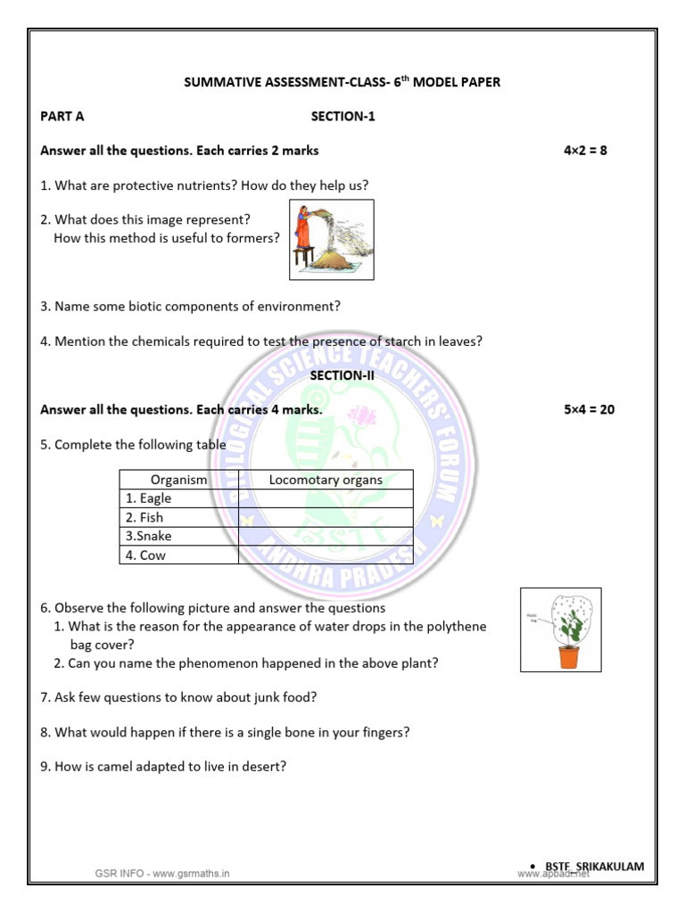 6th Class SA 1 Science Model Paper 1 GSR INFO-www - Gsrmaths.in | PDF ...