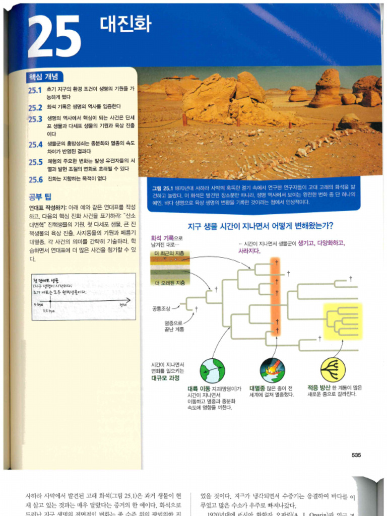 (캠벨) 25. 대진화 | PDF