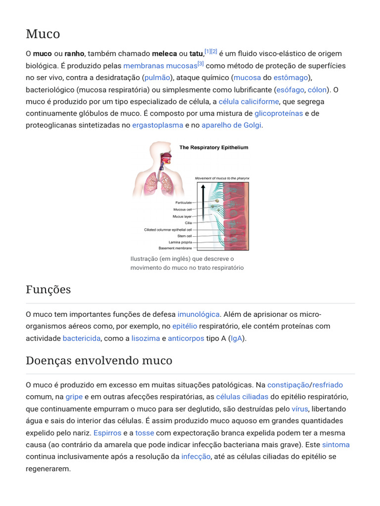 Muco - Wikipédia, A Enciclopédia Livre | PDF | Muco | Biologia