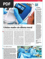 Download Clulas madre sin dilema moral by Ciencia en La Voz de la Escuela SN989338 doc pdf