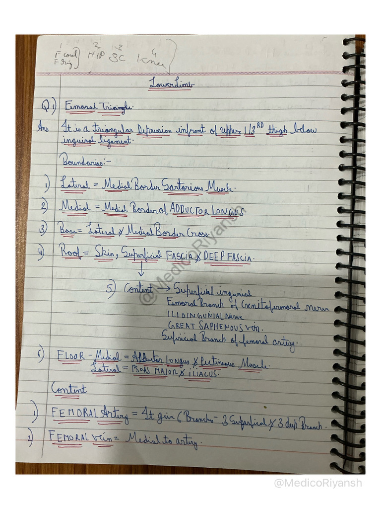 Lower Limb IMP Notes by MedicoRiyansh - Watermark | PDF