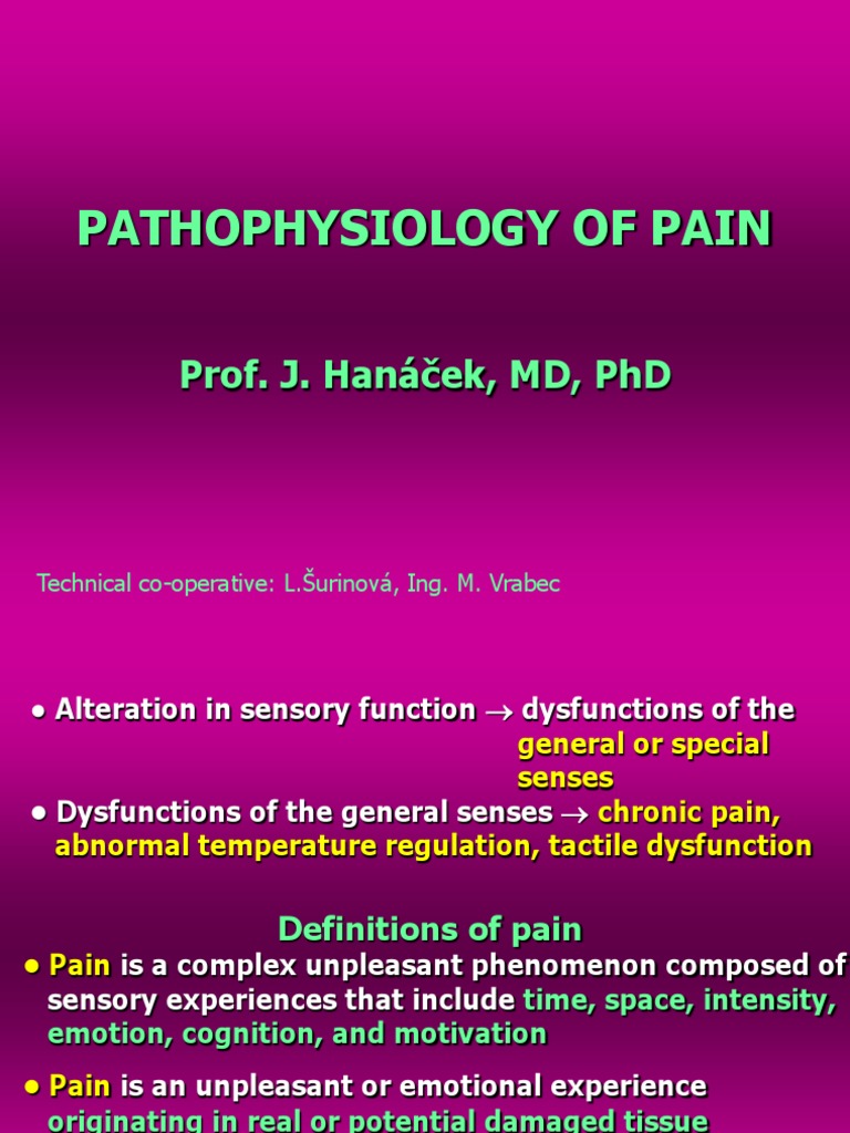 Pathophysiology of Pain: Prof. J. Hanáček, MD, PHD | PDF | Pain ...