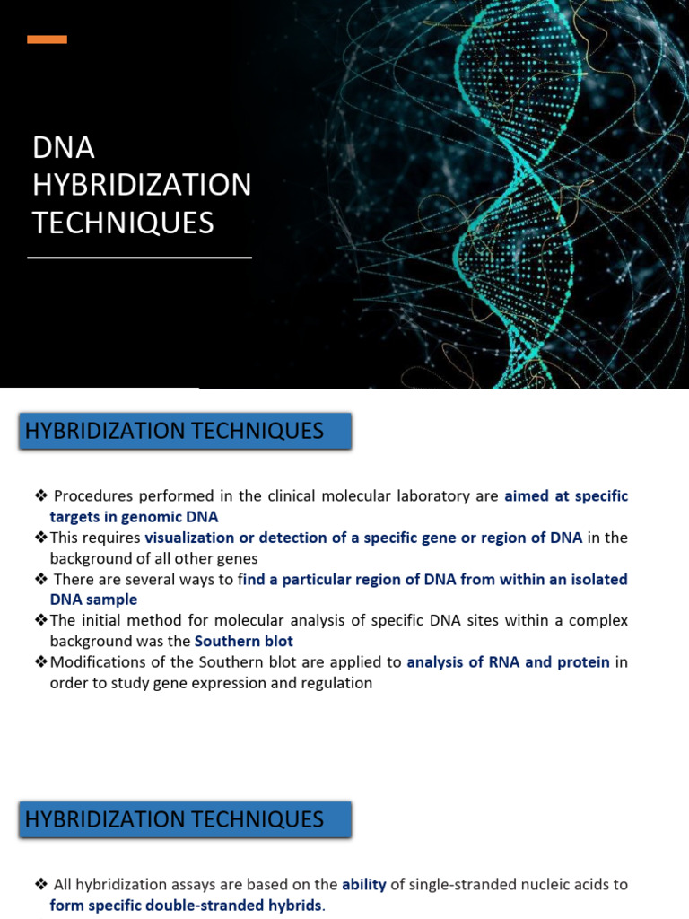 Week 14 Dna Hybridization Techniques | PDF | Southern Blot | Gel ...