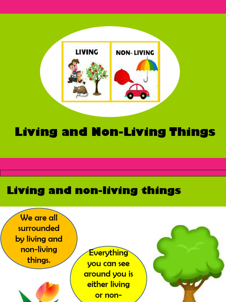 Living and Non Living Things | PDF