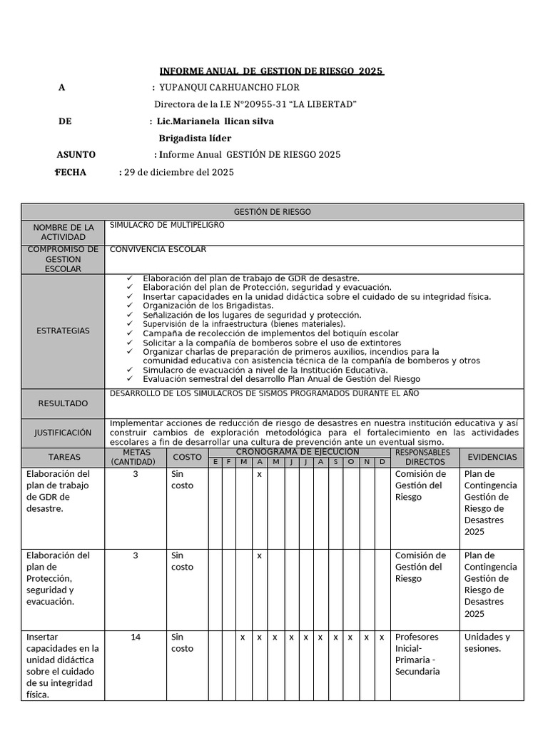 Informe Anual Gestión de Riesgo 2025 | PDF