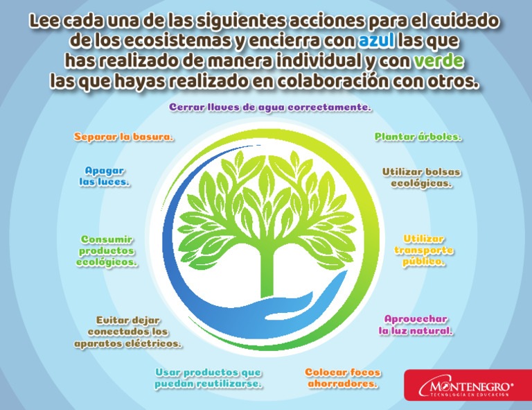 Acciones para El Cuidado Del Medio Ambiente | PDF