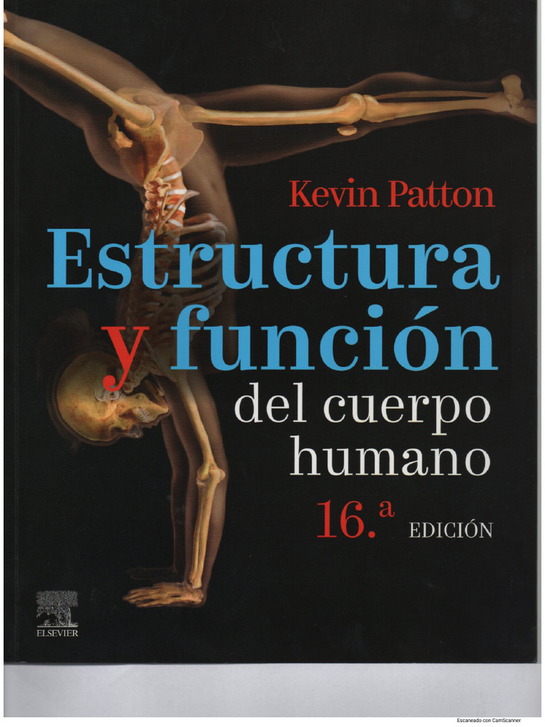 Patton | PDF