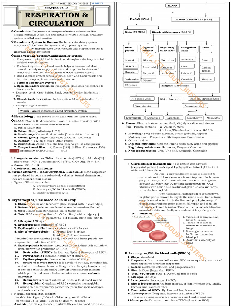 Respiration and A Circulation Notes Class 12 Biology | PDF