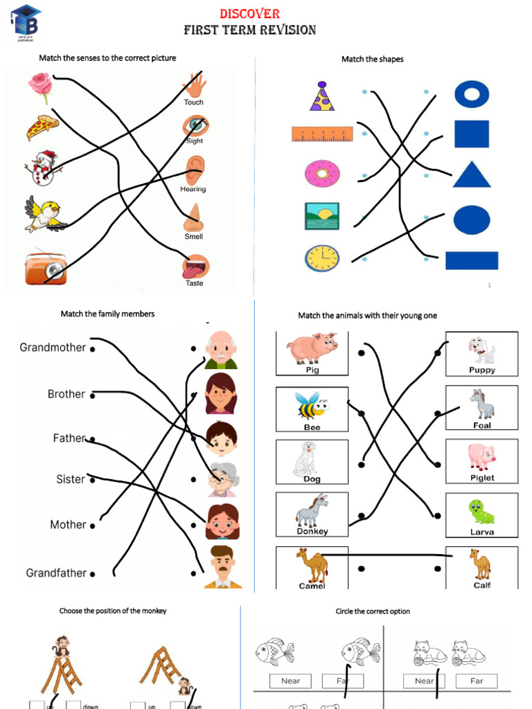 Revision Kg1 1 | PDF
