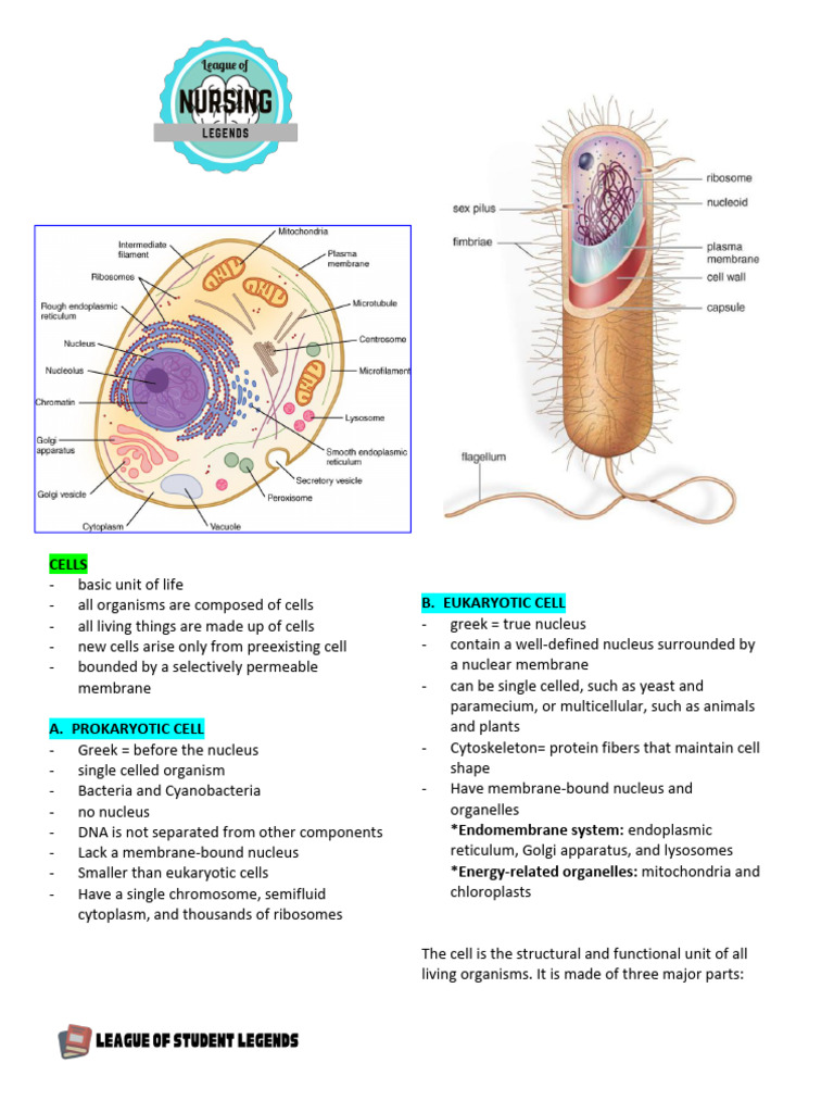 4. Structural Components of Cell | PDF | Cell (Biology) | Cell Membrane