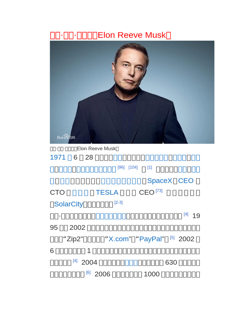 Elon Musk | PDF