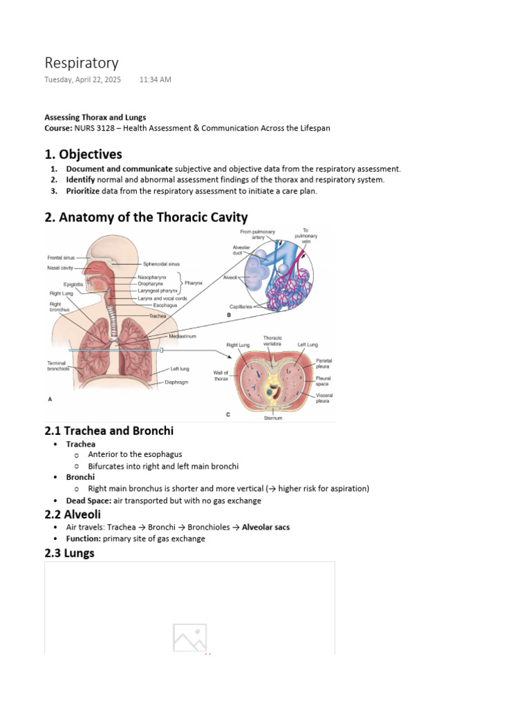 Respiratory Health Assessment | PDF | Lung | Respiratory System
