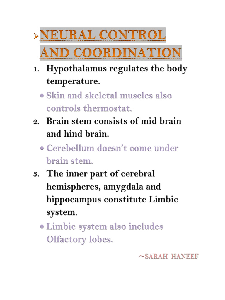 Neural Control and Coordination | PDF