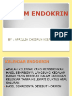 anfis endokrin