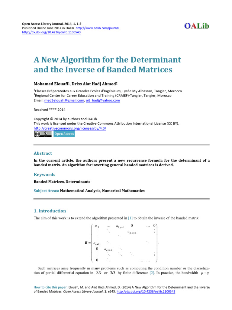 A New Algorithm For The Determinant and | PDF | Matrix (Mathematics ...