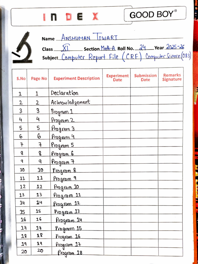 Computer Practical Report File (CPRF) | PDF