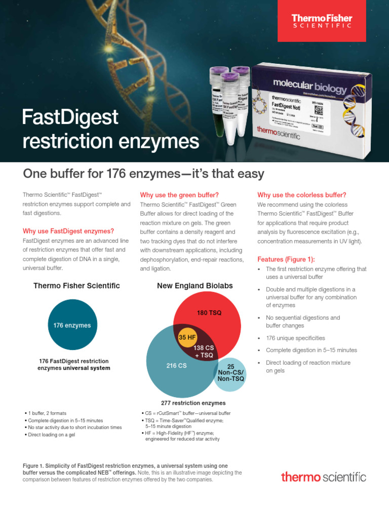 Fastdigest Restriction Enzymes Flyer | PDF | Molecular Cloning ...