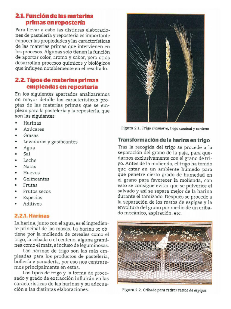 materias primas 1 | PDF