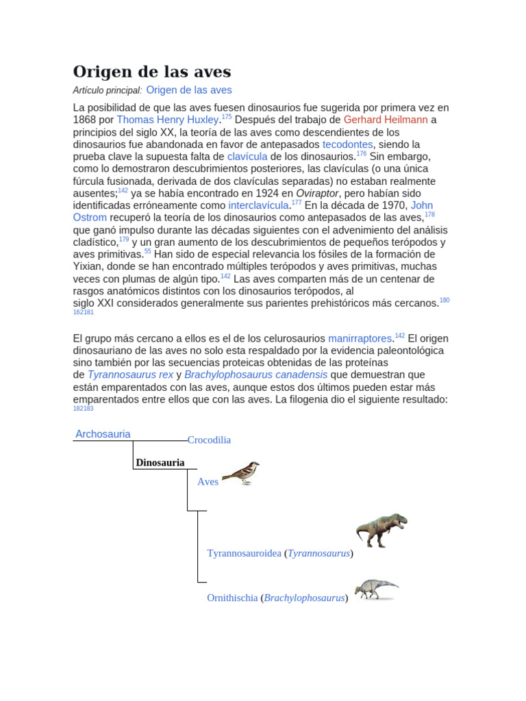 Origen de Las Aves | PDF | Dinosaurios | Paleontología