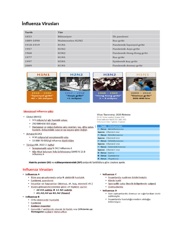 İnfluenza | PDF