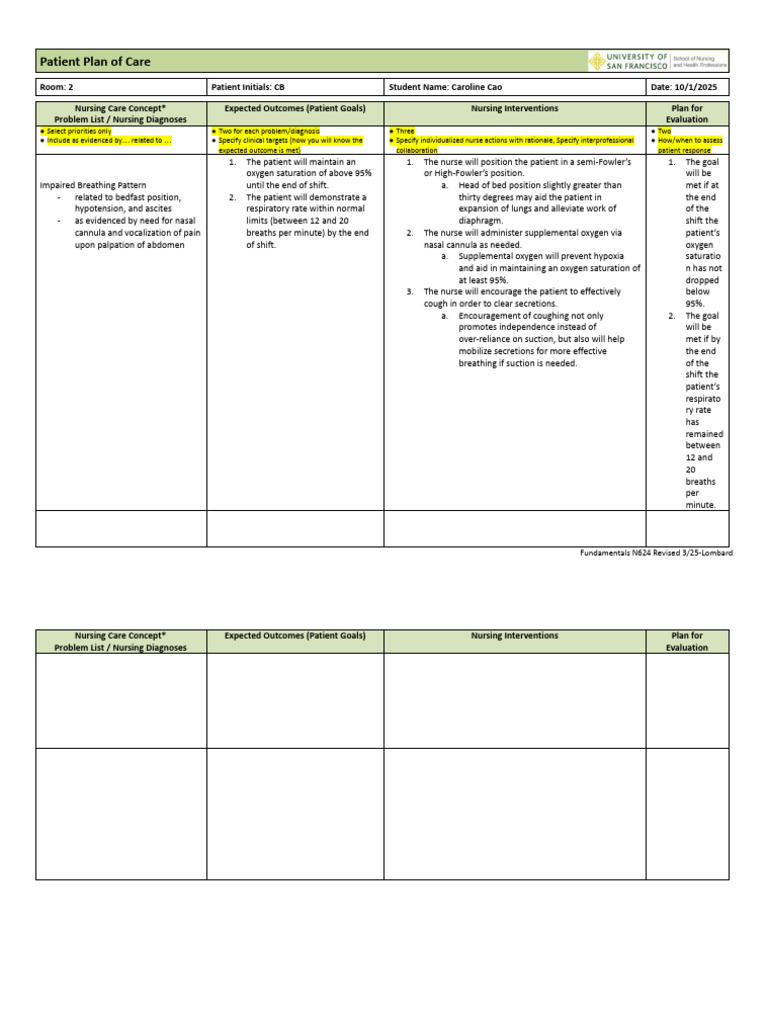 Patient Care Plan | PDF | Breathing | Nursing